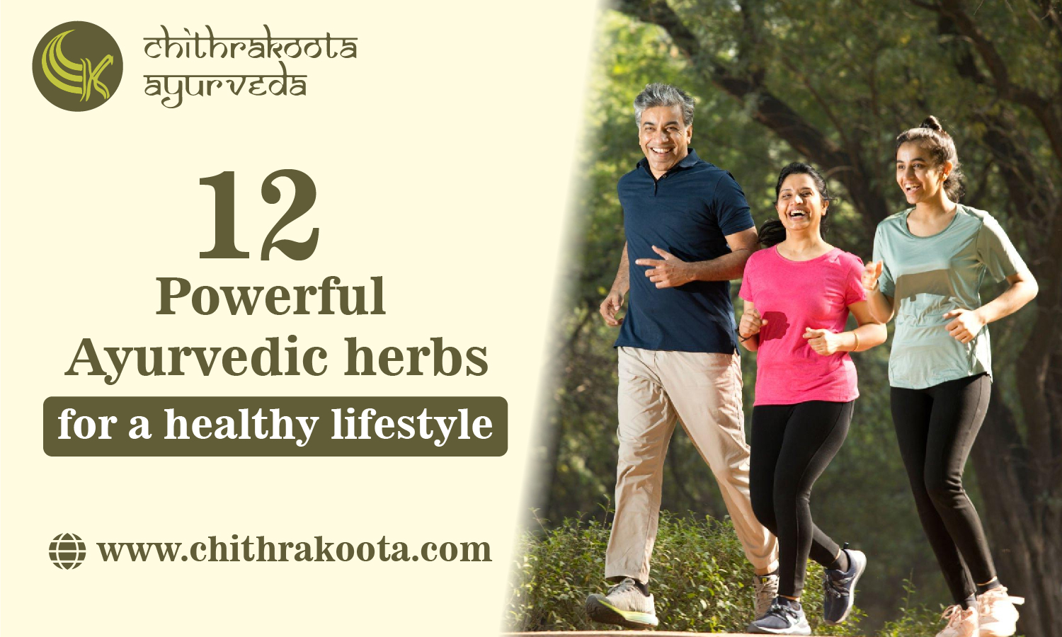 12 Powerful Ayurvedic herbs for a healthy lifestyle