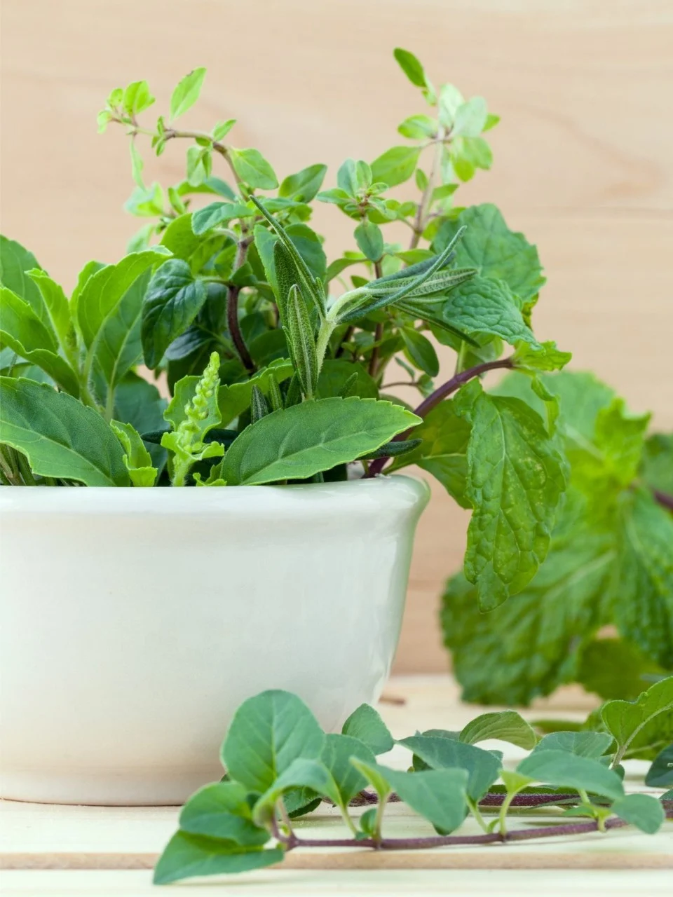 alternative-health-care-fresh-herbs-wooden-background-scaled-e1743845253652